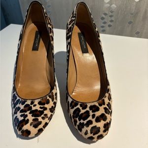 Ann Taylor Leopard heels size 8